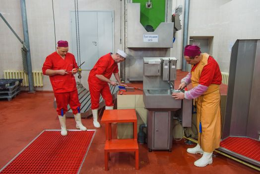 О компании ЭКОМИТ